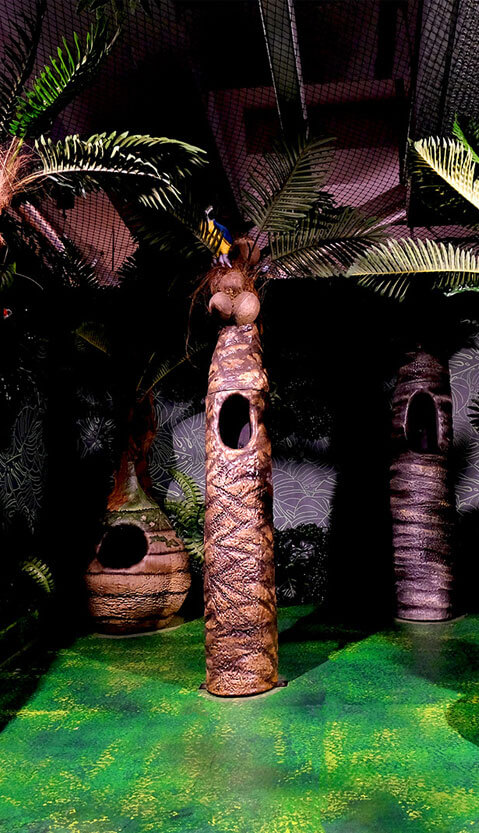 Room Feed The Birds Icon